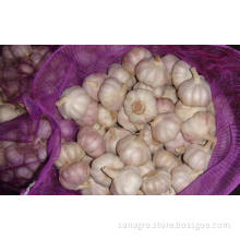 Whole garlic in a normal bag